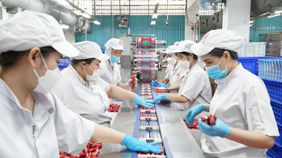 Lo Nghị định 46 có hiệu lực trở lại: VCCI kiến nghị chờ Luật An toàn thực phẩm sửa đổi được thông qua