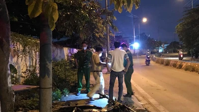 Lái xe tông vào gốc cây, một người tử vong