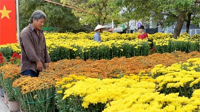 TP Thủ Đức có 5 điểm tổ chức chợ hoa tết