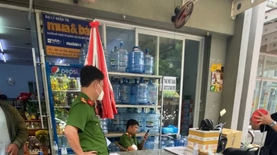 Nhà báo Hàn Ni đề nghị khởi tố nhóm người tấn công bà ở trước nhà