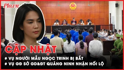 Điểm nóng tố tụng: Cập nhật vụ người mẫu Ngọc Trinh bị bắt