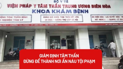 Sai phạm tại Viện Pháp y tâm thần Trung ương Biên Hòa và vấn đề pháp lý liên quan