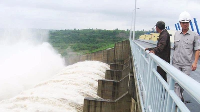 Thủy điện ồ ạt xả lũ, nguy cơ Phú Yên ngập sâu 