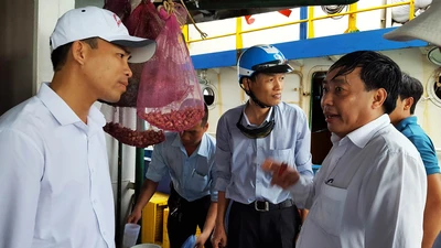 Thêm nhiều thiết bị 'có vấn đề' trên tàu vỏ thép