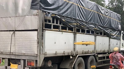 Xe tải dừng đột ngột rồi lùi dưới chân đèo Cù Mông khiến 3 mẹ con tử vong