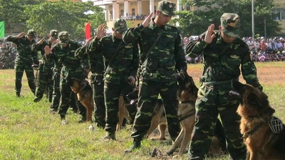 Chùm ảnh biểu diễn võ thuật đầy uy dũng của Bộ đội biên phòng