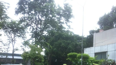 Kết thúc thực nghiệm hiện trường thảm sát Bình Phước