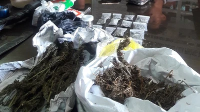 Bắt đối tượng bán, tàng trữ ‘cỏ' Mỹ có hung khí