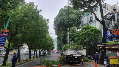 TP.HCM: Năm 2022 xây dựng mới tối thiểu 10 ha công viên công cộng 