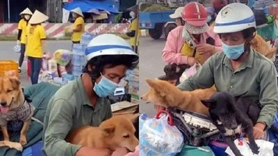 Vụ tiêu hủy đàn chó: Tấn công cá nhân là hành vi tàn nhẫn 