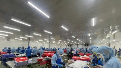 Nghị quyết 66: Thúc đẩy nội luật hóa các cam kết quốc tế để hội nhập và phát triển