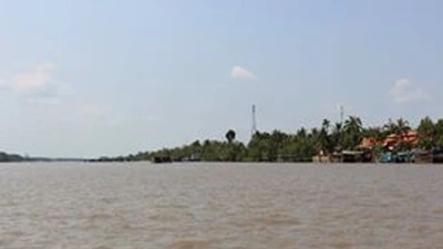 Hạn mặn giảm, ĐBSCL có thể xuất hiện đợt nước ngọt từ 16-3