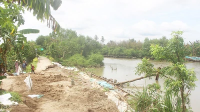 Tháo dỡ đập tạm sông Ba Lai gây sạt lở 150m lộ và đê bao