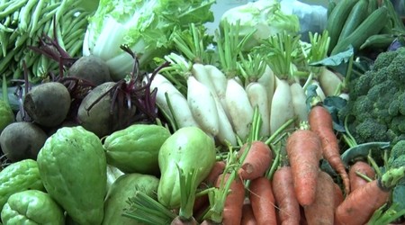Có một khu chợ nông sản sạch của người trẻ