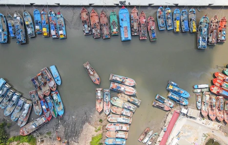 Đồng Tháp hỗ trợ đến 24 triệu đồng/tàu cá nâng cấp, thay thế thiết bị giám sát hành trình