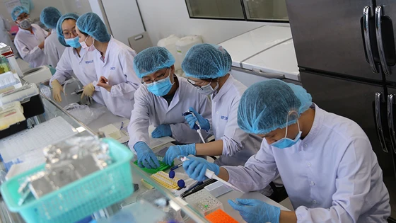 Kinh tế TP.HCM: 9 tháng vượt khó và những tín hiệu lạc quan