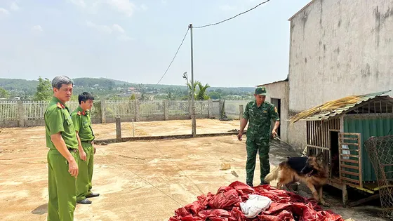 Kon Tum phối hợp Bình Thuận phá đường dây ma túy liên tỉnh