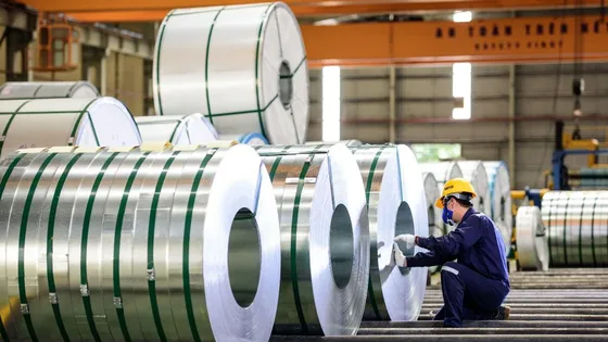 Năm 2024, Hoa Sen đặt mục tiêu lợi nhuận 500 tỷ đồng