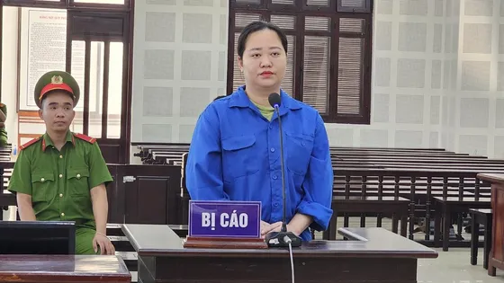 Mạo nhận tổng giám đốc để lừa làm sổ đỏ giả, chiếm đoạt tiền tỉ