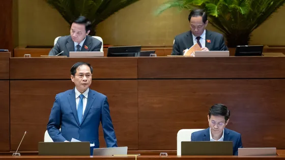 Bộ trưởng Bộ Ngoại giao Bùi Thanh Sơn (đứng) trả lời chất vấn các đại biểu vào chiều 18-3.