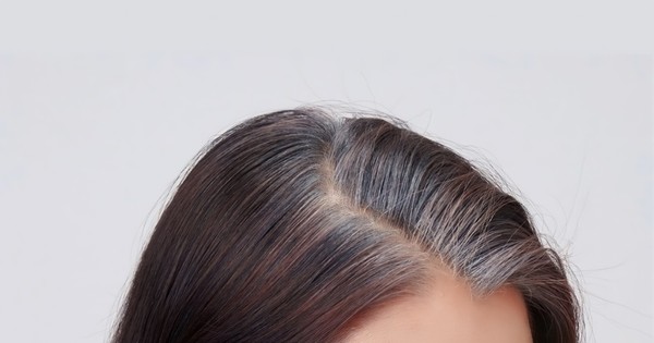 Công thức nhuộm phủ bạc tiêu chuẩn  Học viện tóc quốc tế OneStar  Dạy cắt  tóc theo tiêu chuẩn ToniGuy