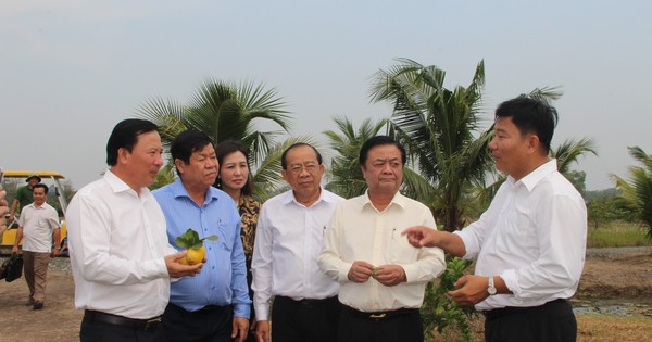 Minister Le Minh Hoan surveyed the new rural model in Long An