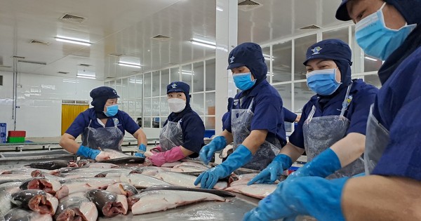 What good is the specialty fish of Vietnam that China spends trillions a year to buy and eat?