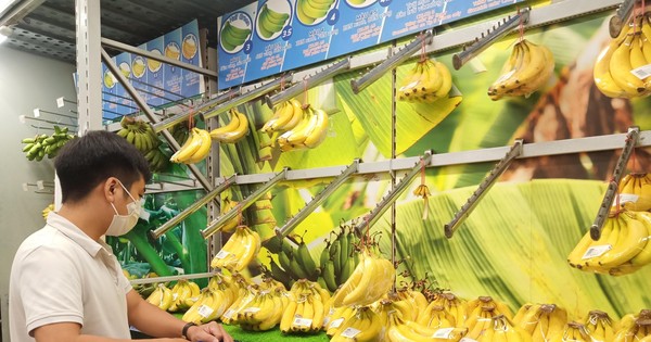 Is the advice ‘one banana a day to keep disease away’ reliable?