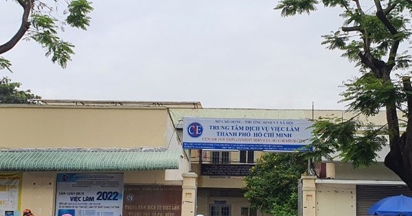 Transferring the Police to investigate the violation at the Employment Service Center in Ho Chi Minh City