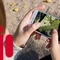Vì sao nhiều người thường chọn iPhone thay vì Android? 