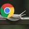 Hóa ra đây là lý do khiến trình duyệt Chrome chậm đi đáng kể