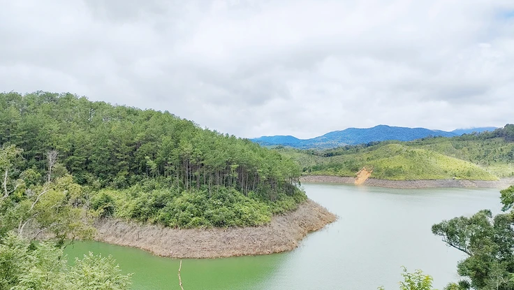 Truy trách nhiệm vụ hơn 25 ha rừng chết ngập do thủy điện