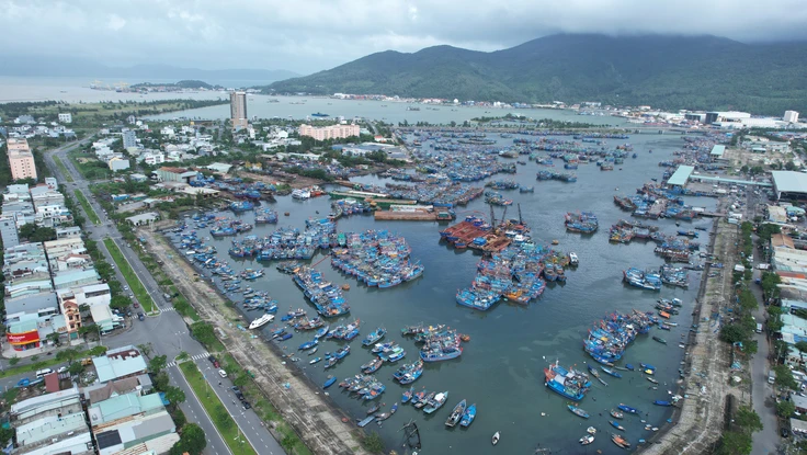 Âu thuyền và cảng cá Thọ Quang, quận Sơn Trà, TP Đà Nẵng là cảng cá lớn nhất miền Trung với khoảng 2.000 tàu thuyền neo đậu thường xuyên. Ảnh: MINH TRƯỜNG