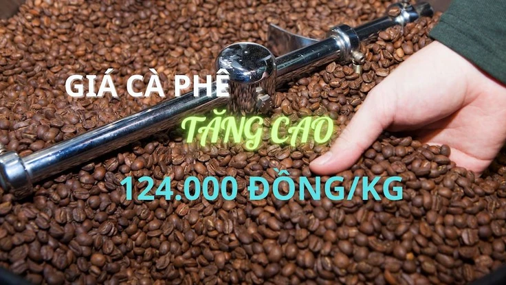 Giá cà phê đạt mốc kỉ lục mới 124.000 đồng/kg