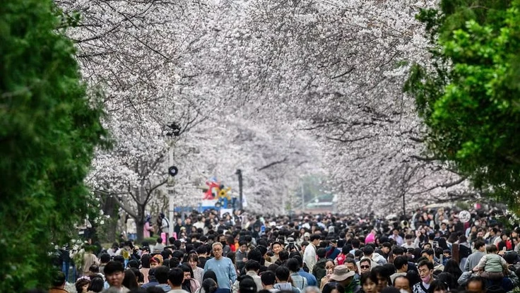 Sức mạnh quốc gia Trung-Nhật-Hàn sẽ thế nào nếu dân số không ngừng giảm?