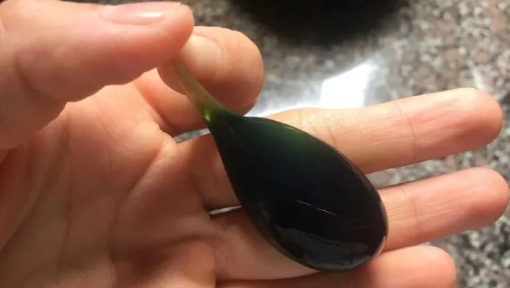 Uống mật cá trắm, 1 phụ nữ tăng men gan 250 lần, suýt tử vong