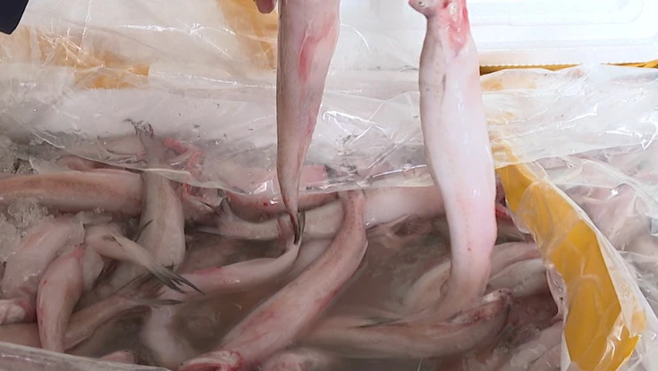 Điều gì xảy ra nếu ăn phải cá khoai tẩm formol cực độc?