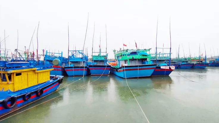 Gia Lai: Hỗ trợ tiền cho hơn 400 tàu cá không đủ điều kiện ra khơi