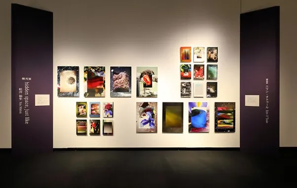 Cuộc thi New Cosmos of Photography cho nhiếp ảnh gia