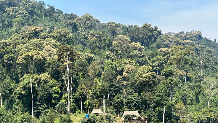 Bộ đội, Công an TP Đà Nẵng cùng chung tay bảo vệ Vườn quốc gia Sông Thanh