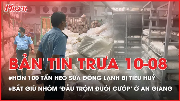 Bản tin trưa 10-8: Tiêu hủy hơn 100 tấn heo sữa đông lạnh không rõ nguồn gốc; Bắt giữ nhóm 'đầu trộm đuôi cướp' ở An Giang