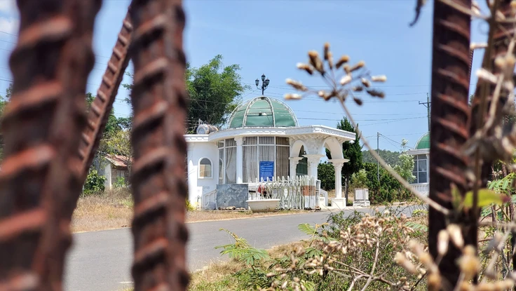 Lâm Đồng thu hồi dự án của 'đại gia' Nguyễn Cao Trí 