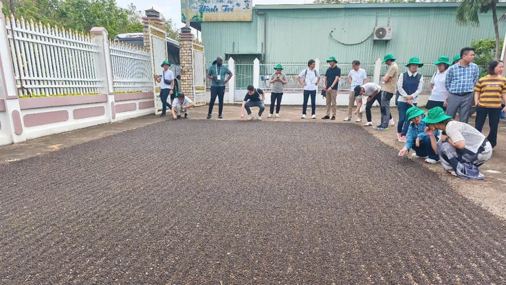 Sau gạo, cà phê, đến lượt thuỷ sản, hồ tiêu... gặp khó vì vướng thuế giá trị gia tăng