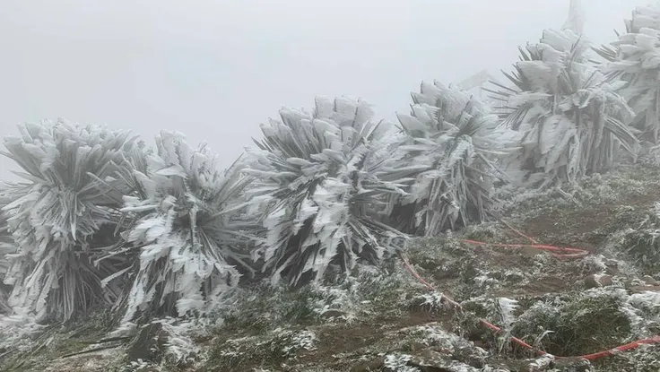 Cảnh báo không khí lạnh cường độ mạnh, miền Trung mưa lớn diện rộng