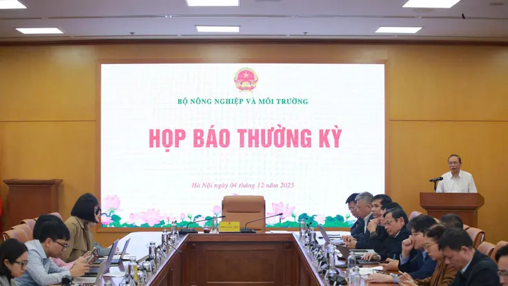 Giá rau giảm dần vì nguồn cung đang khôi phục sau bão lũ