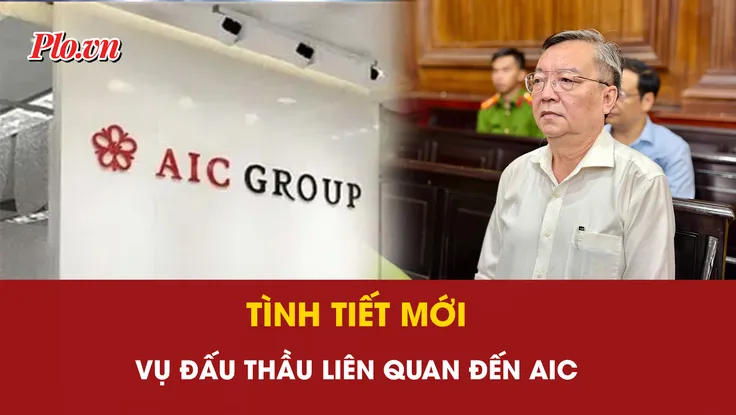 Công ty AIC, Lê Hồng Sơn, quy định đấu thầu
