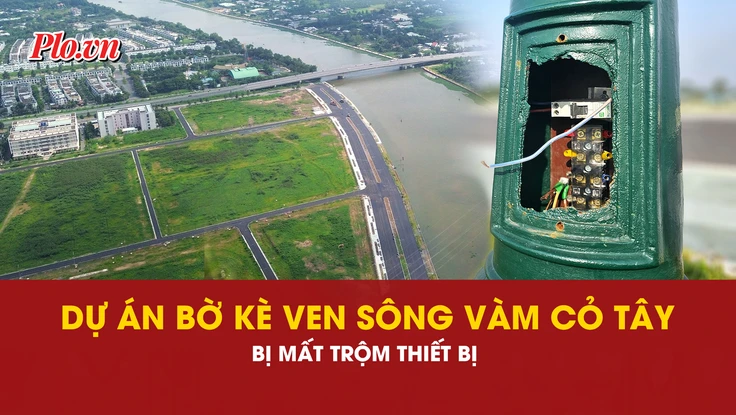 Vàm Cỏ Tây, Tây Ninh, dự án