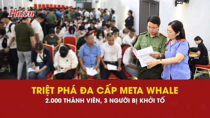 đa cấp, triệt phá, Meta Whale, an ninh
