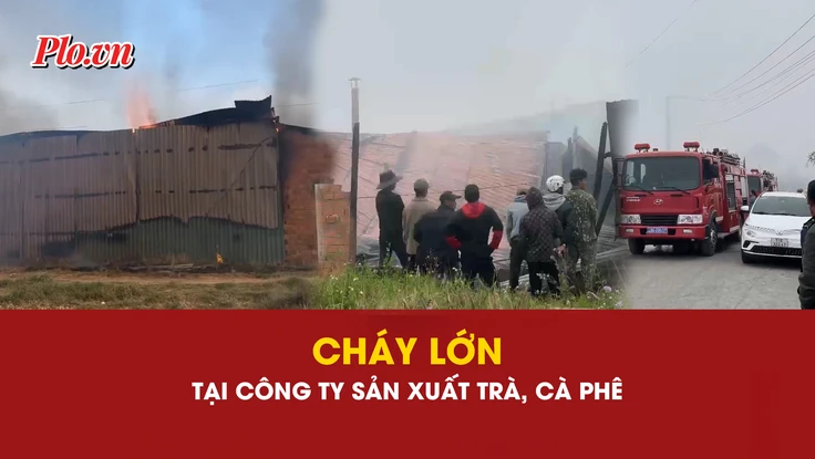 cháy, cháy lớn, cà phê, Lâm Đồng, 