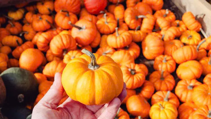 8 loại thực phẩm giàu chất xơ hỗ trợ cân bằng đường huyết